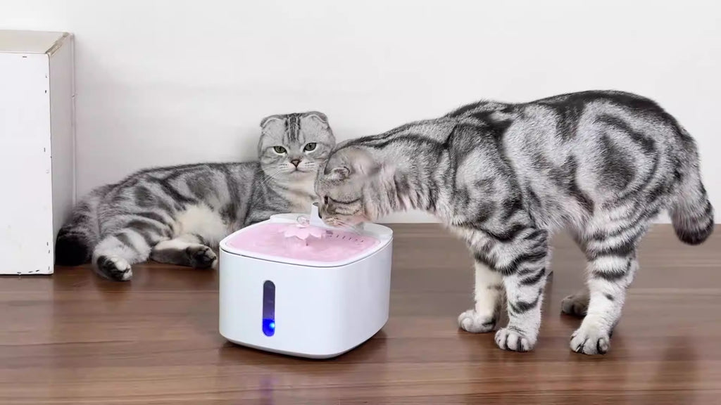 Bebedero inalámbrico con filtración para perros y gatos
