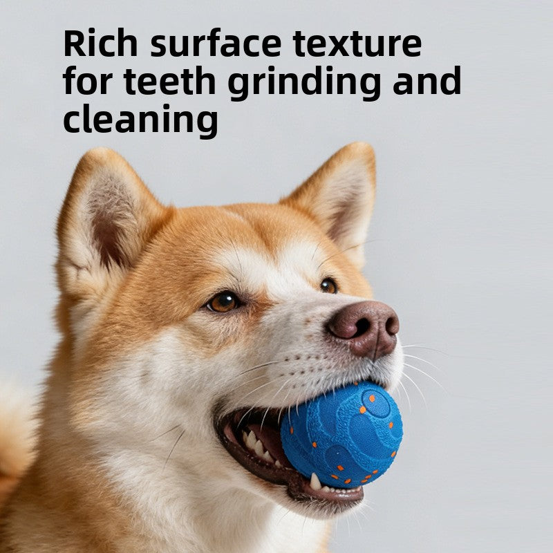 Pelota puzle automática que rebota para perros