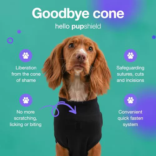 Traje de recuperación postoperatoria para perros, foto 2 de 5
