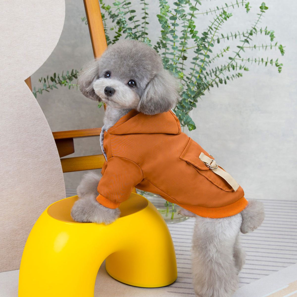 Jersey casual de poliéster para perros y gatos en color marrón oscuro