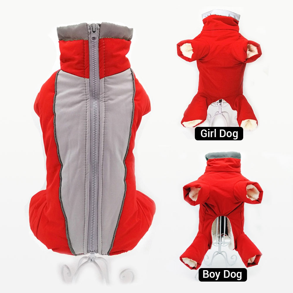 Mono térmico impermeable reflectante para perros pequeños