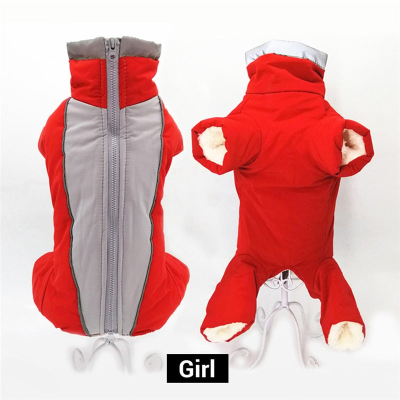 Mono térmico impermeable reflectante para perros pequeños