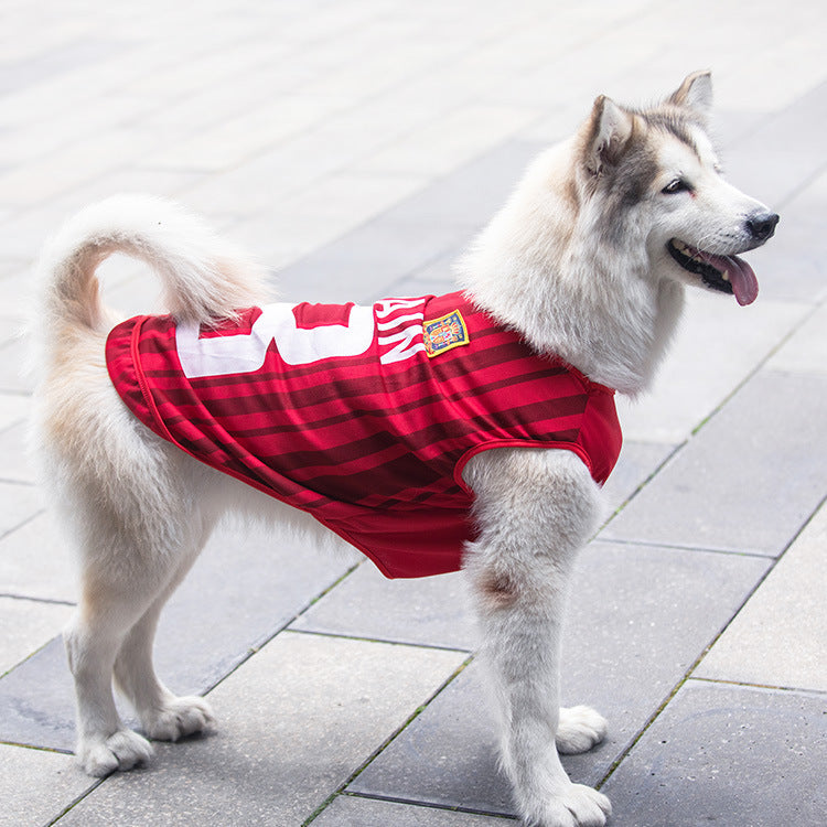 Chaleco deportivo transpirable para perros y gatos