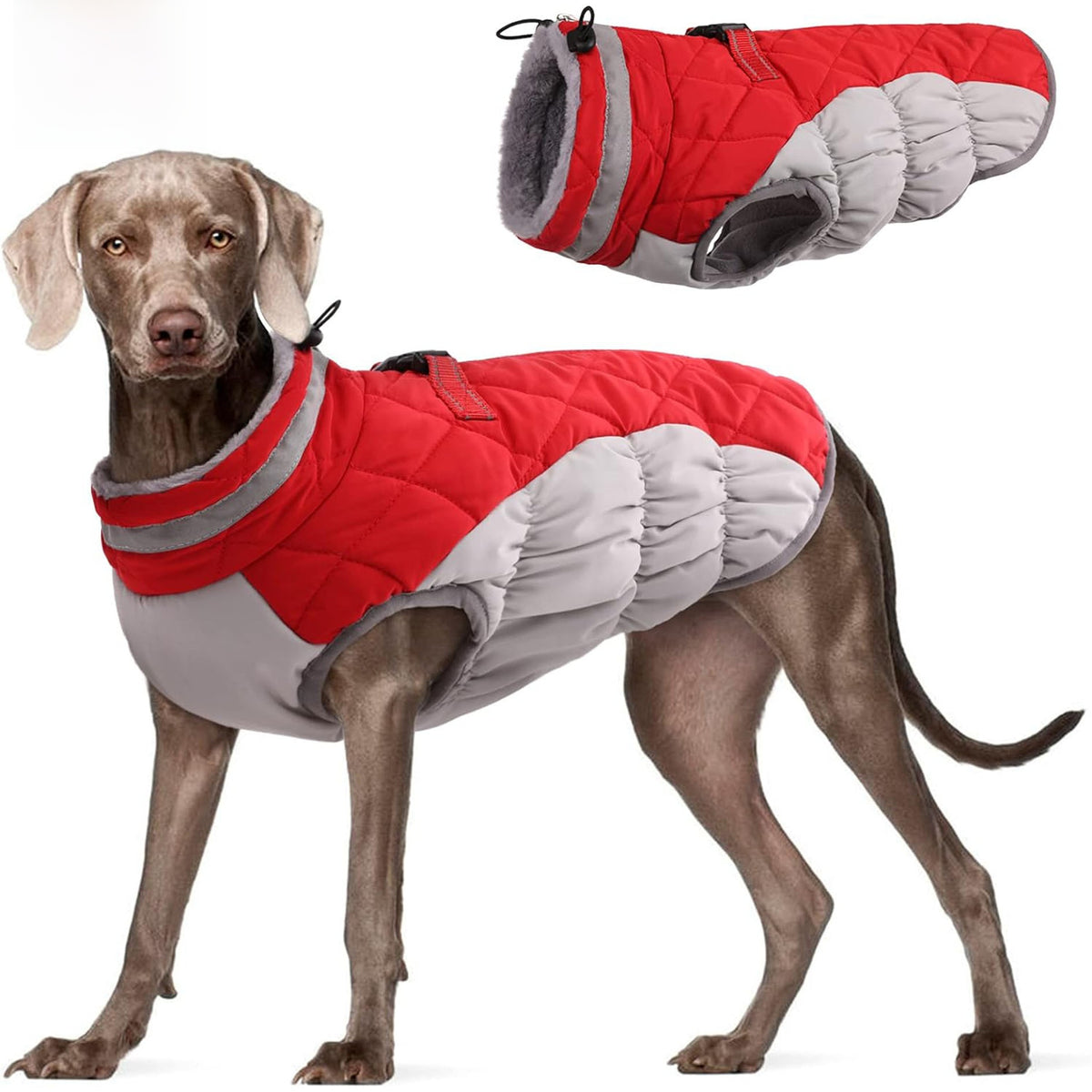 Abrigo de invierno cortavientos forrado de polar para perros