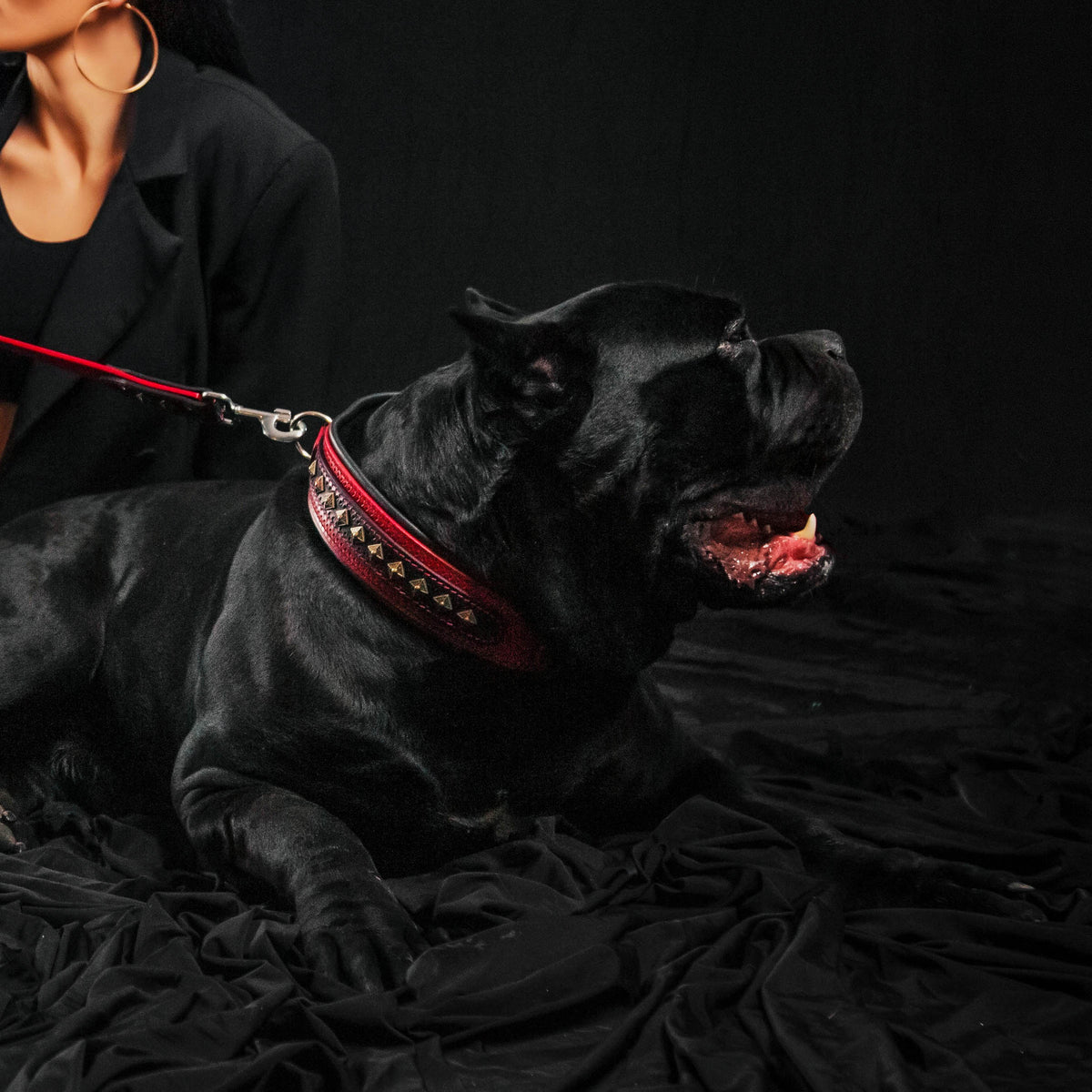 Collar Bestia Balteus de cuero rojo para perros, foto 2 de 3