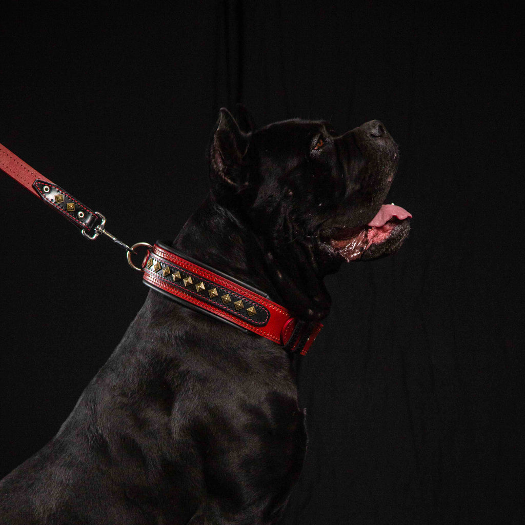 Collar Bestia Balteus de cuero rojo para perros, foto 3 de 3