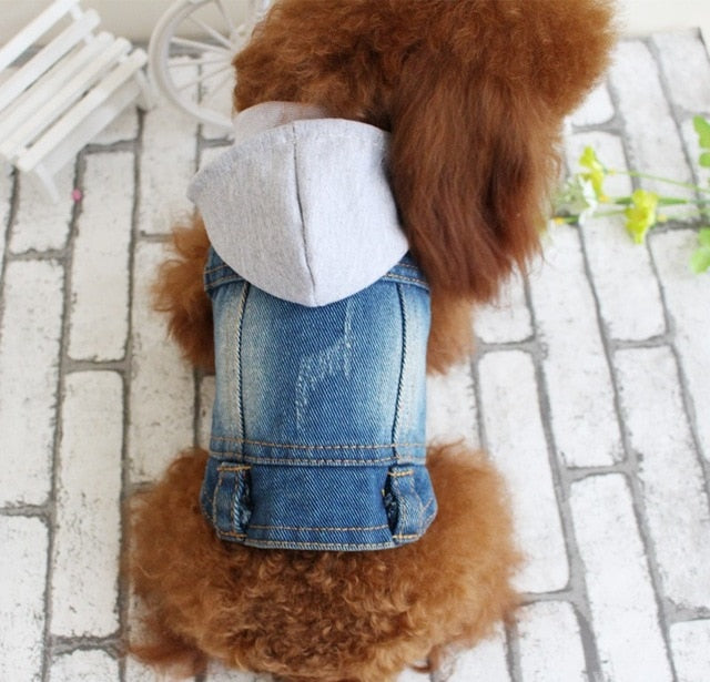 Chaqueta vaquera para perro pequeño con bordados