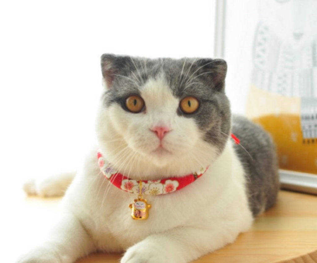 Collar japonés rosa Florence para gato y perro Pawsome Pets New York