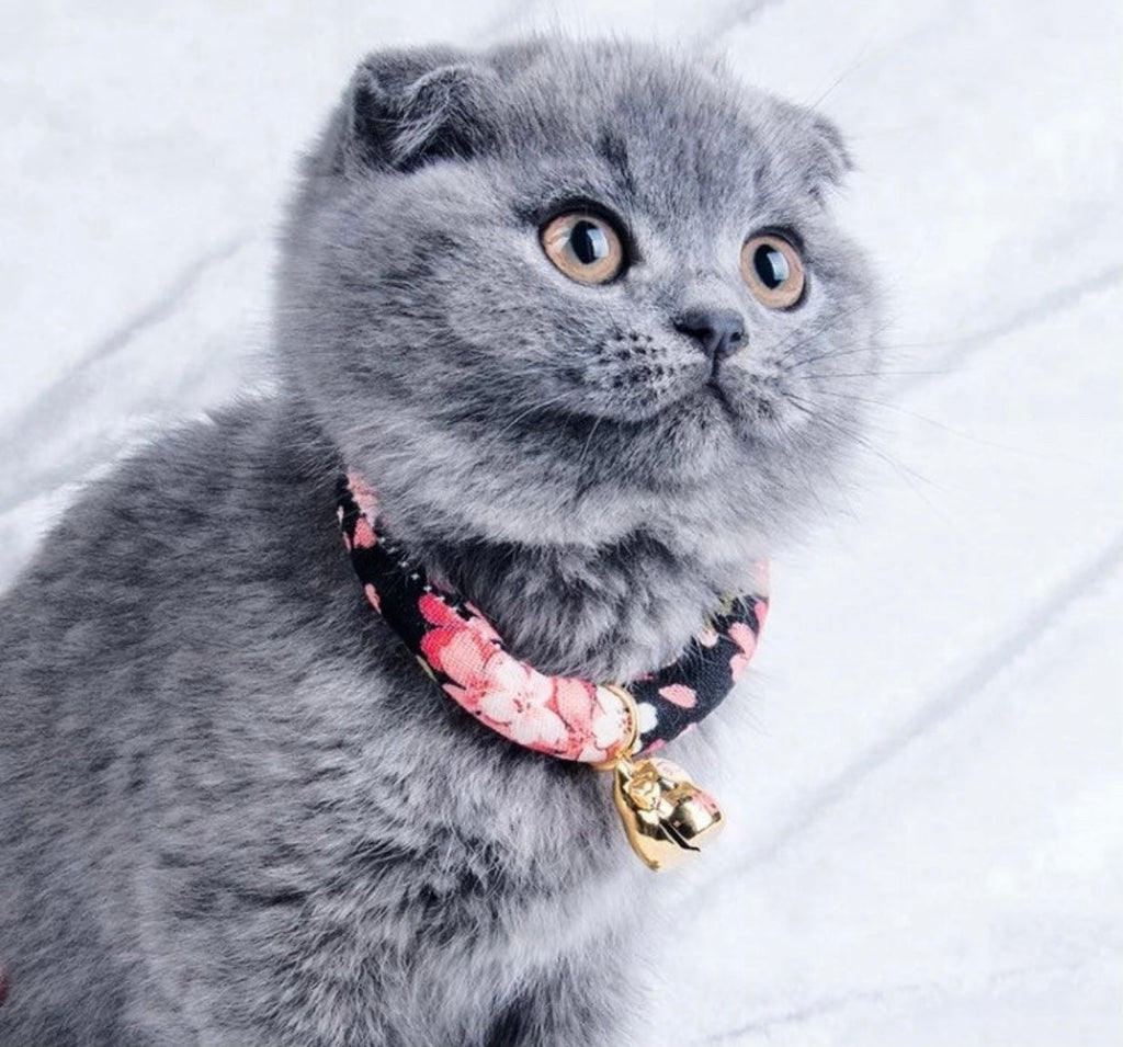 Collar japonés morado oscuro para gato y perro Pawsome Pets New York