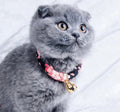 Collar japonés morado oscuro para gato y perro Pawsome Pets New York