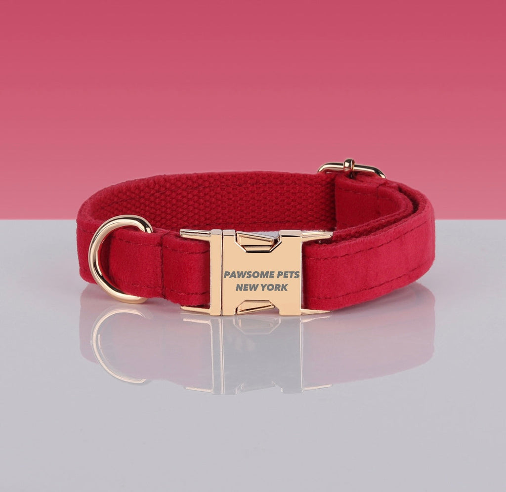 Collar rojo para perro y gato - Pawsome Pets New York