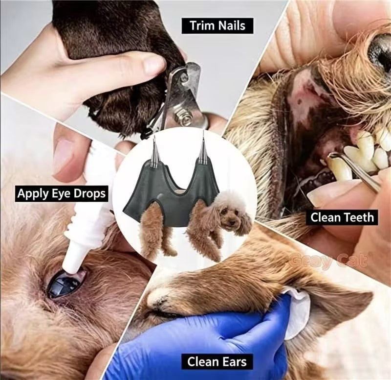 Hamaca de peluquería para perros y gatos, foto 6 de 8