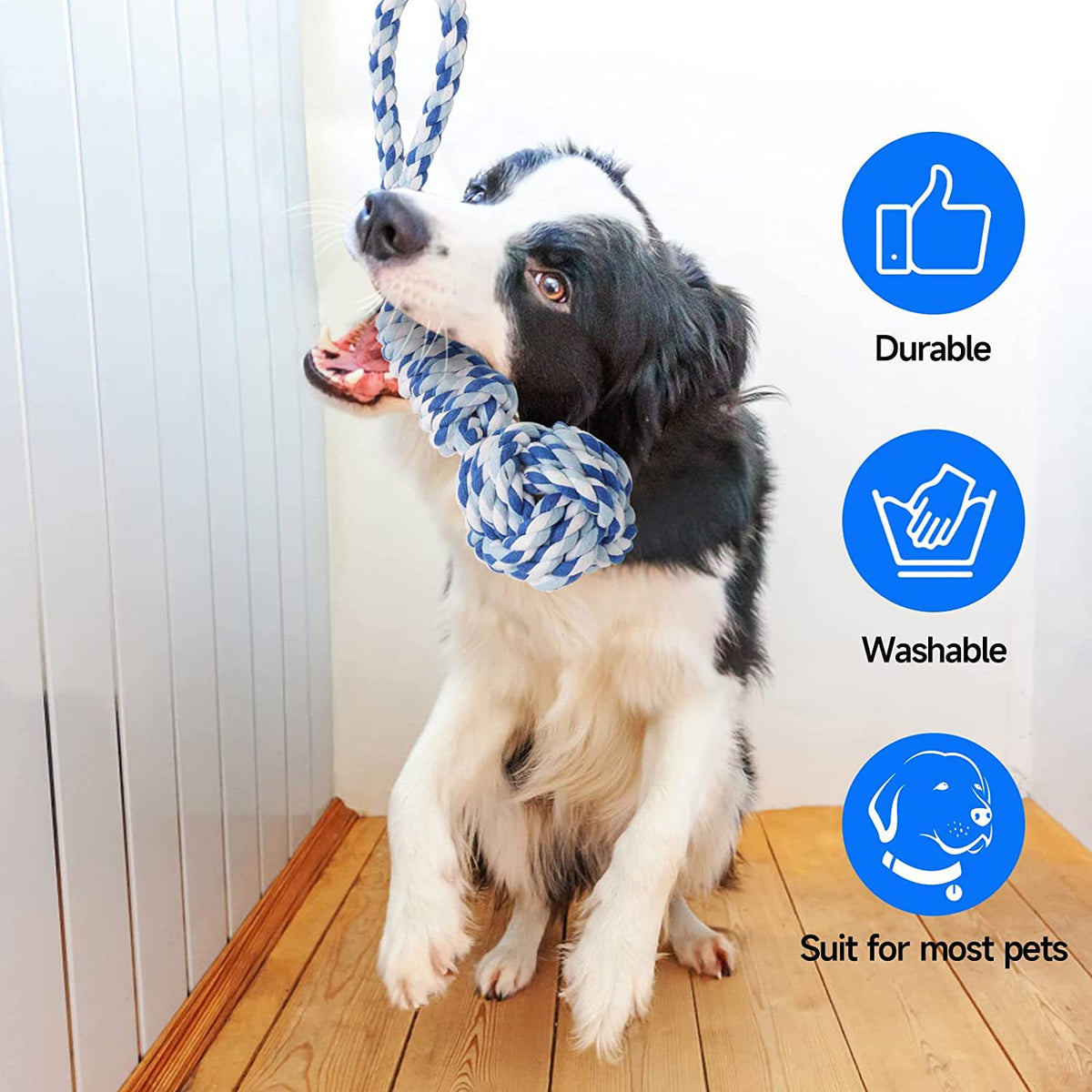 Juguete de cuerda para tirar y morder para perros