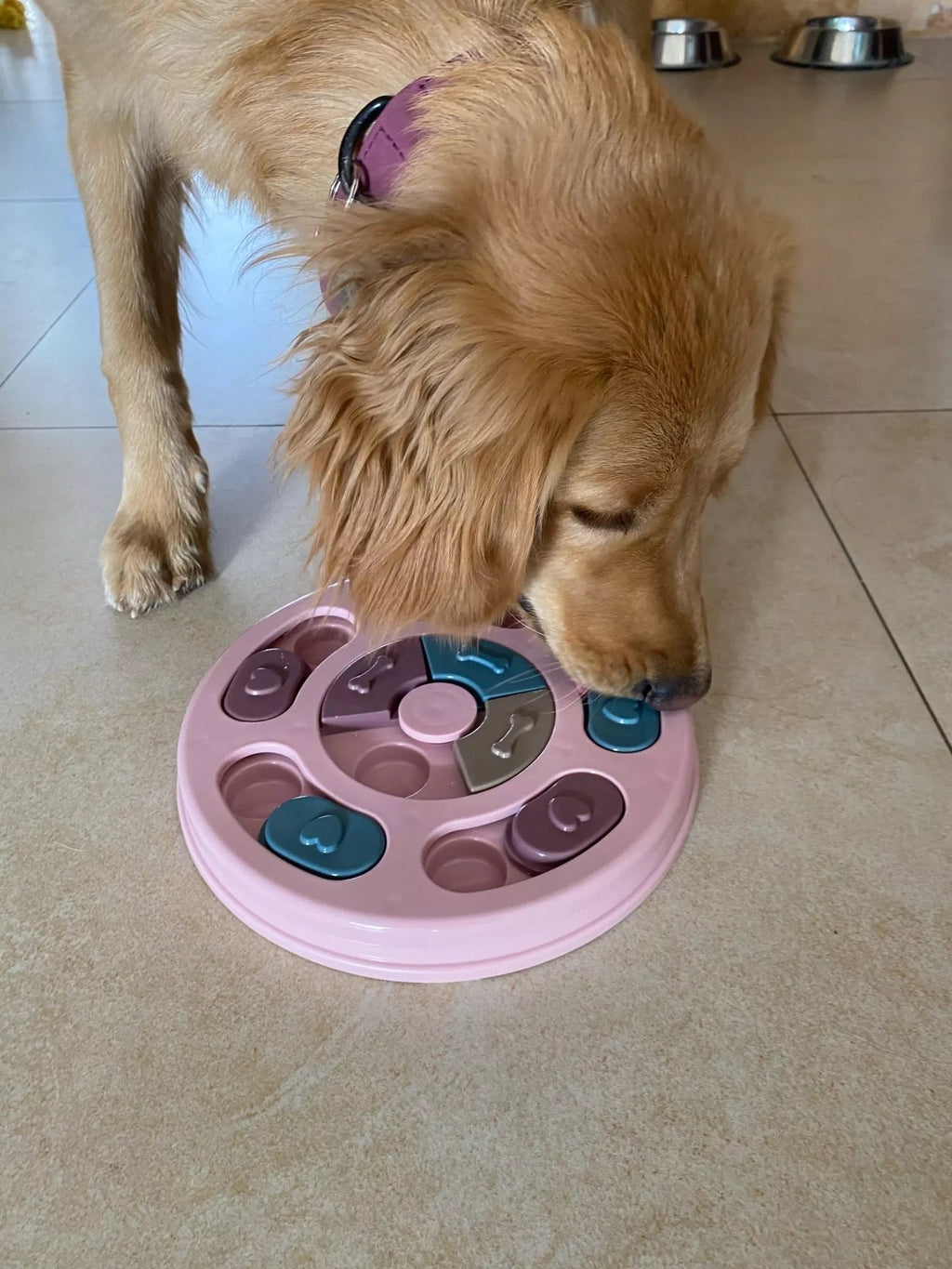 Juguete puzle de comida lenta Pawsome Pets New York con forma de huella, foto 5 de 5