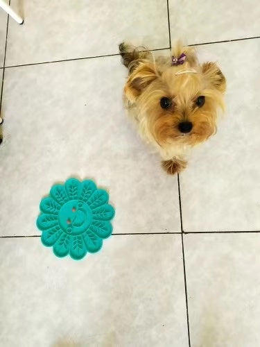 Comedero interactivo Pawsome Pets New York con forma de pez, foto 4 de 5