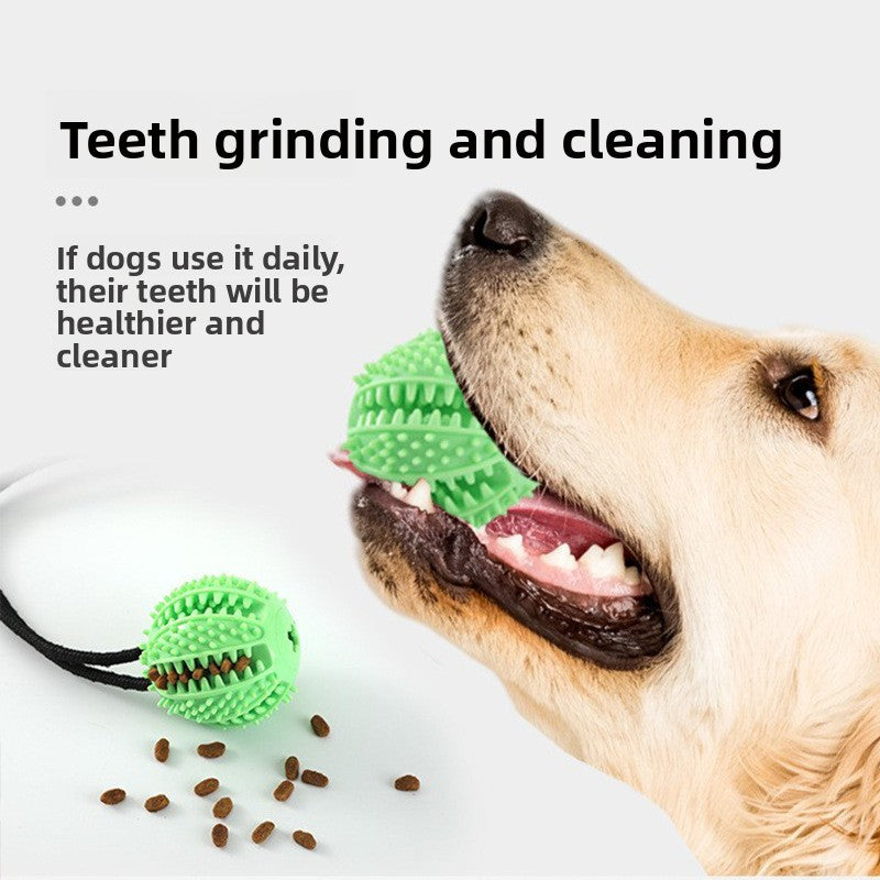 Juguete con ventosa y pelota de premios para la limpieza dental de perros