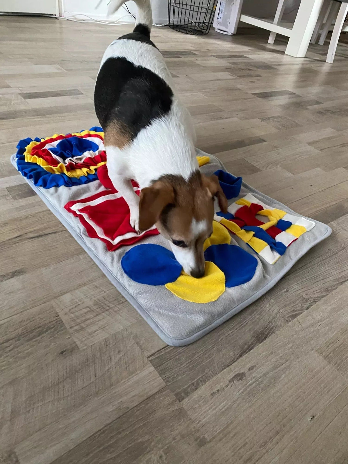 Juguete puzle Pawsome Pets New York para comer despacio, foto 4 de 5