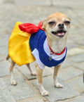 Disfraz de Blancanieves para Perros y Gatos