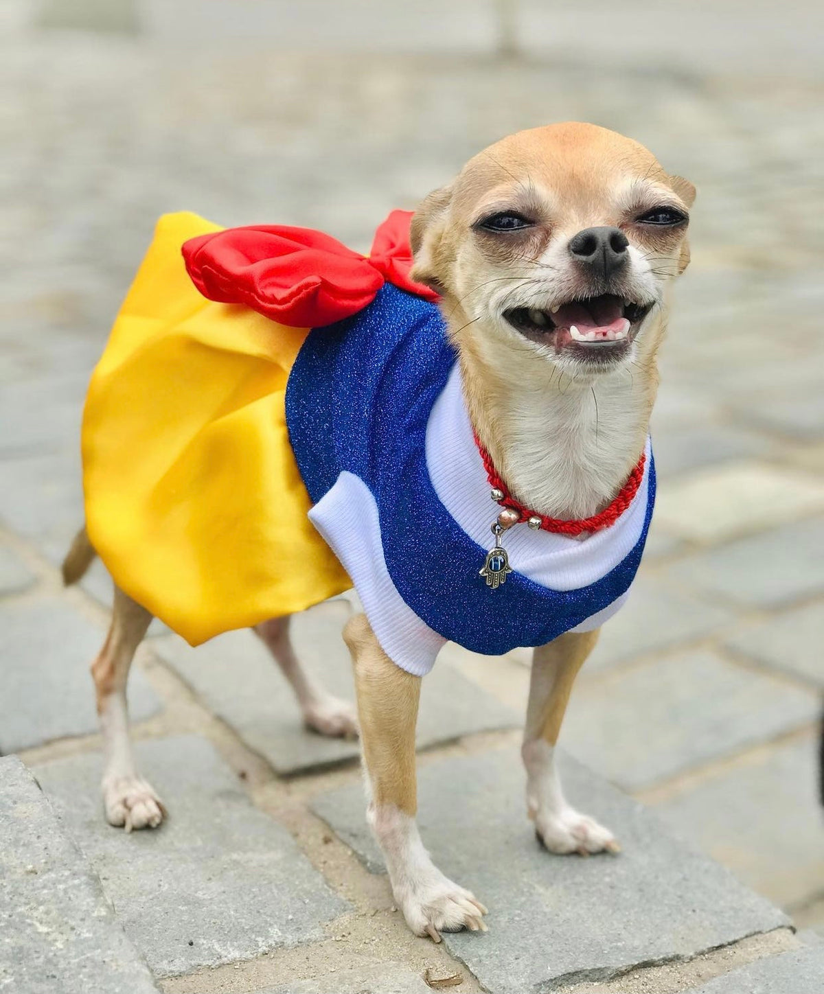 Disfraz de Blancanieves para Perros y Gatos
