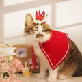 Corona festiva para gatos
