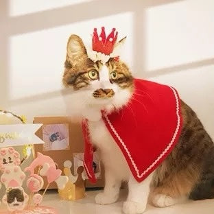 Corona festiva para gatos