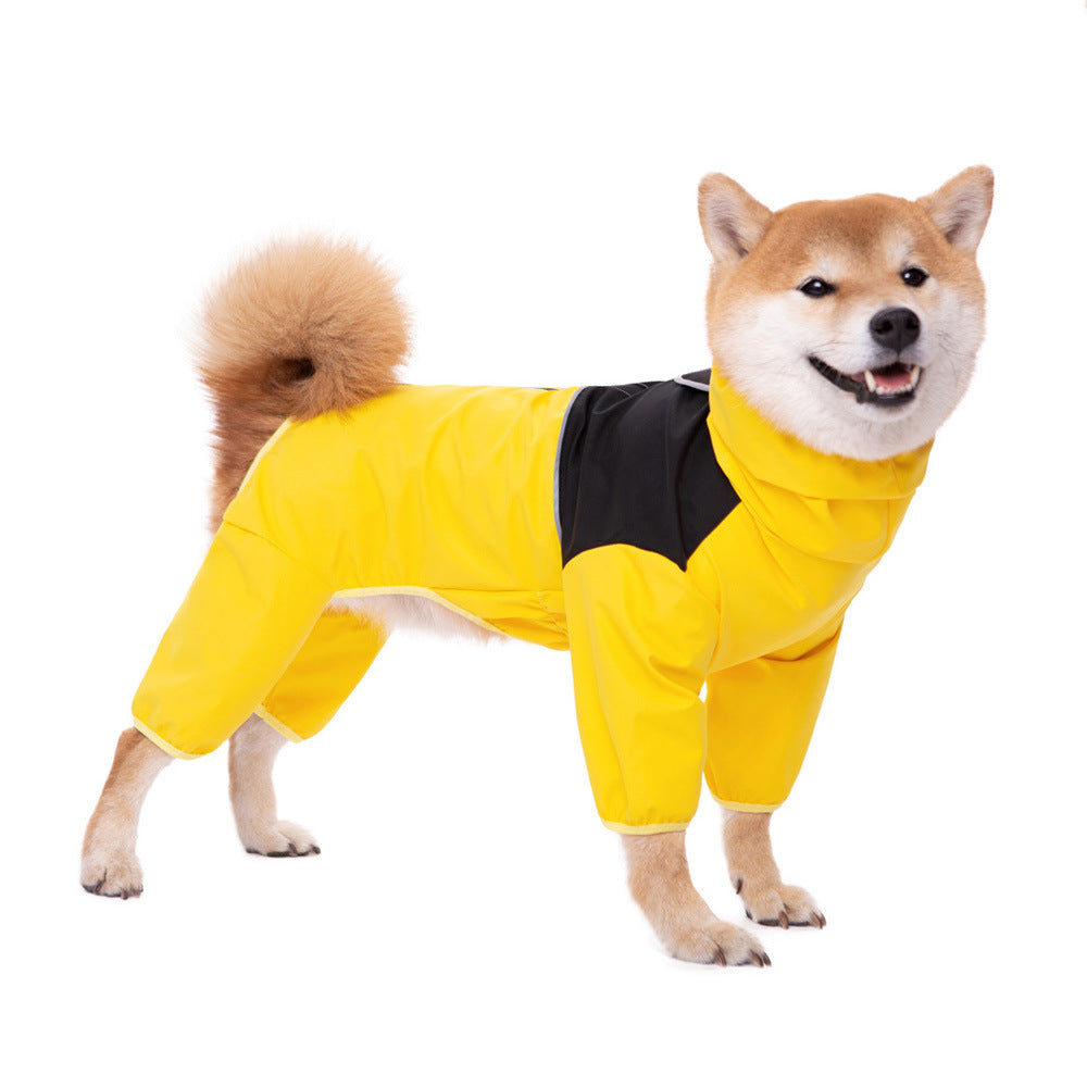 Chubasquero para perros