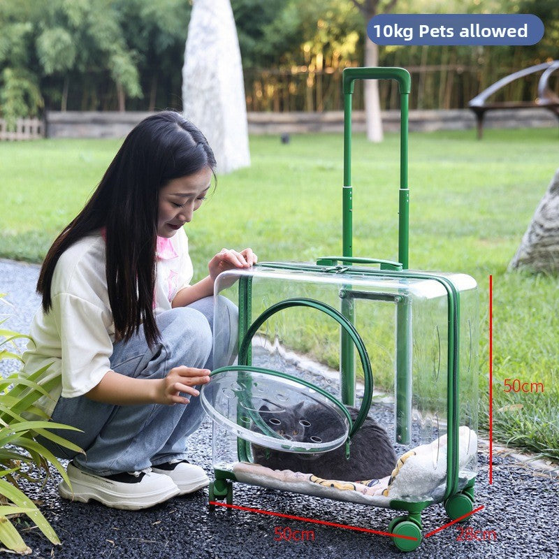 Transportín mochila transparente con ruedas para perros y gatos