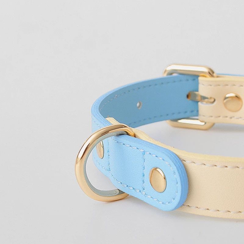 Collar de piel para perros y gatos, colores pastel