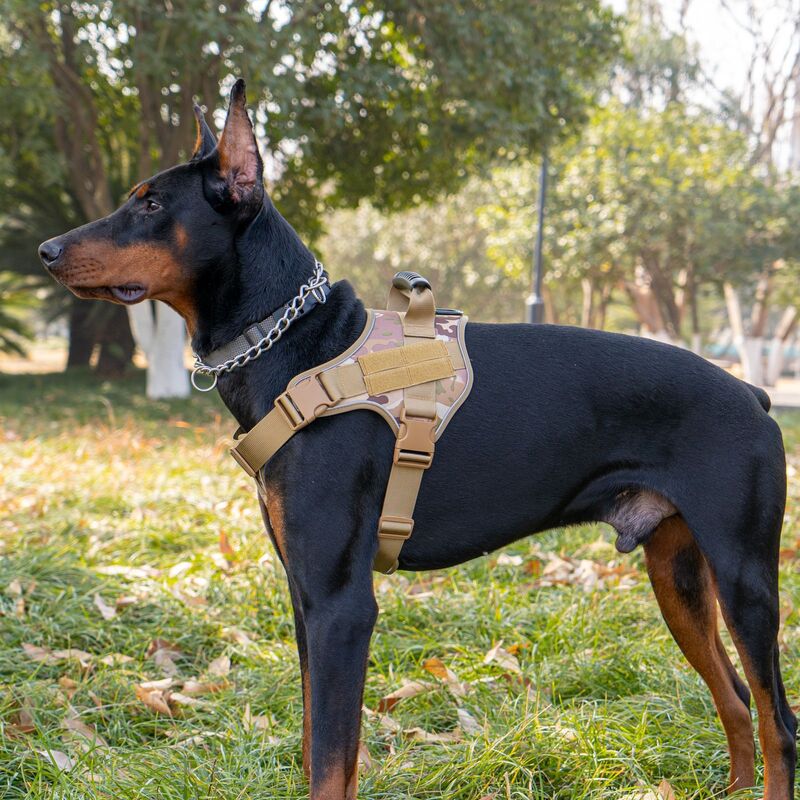 Chaleco táctico para perros grandes, foto 6 de 12