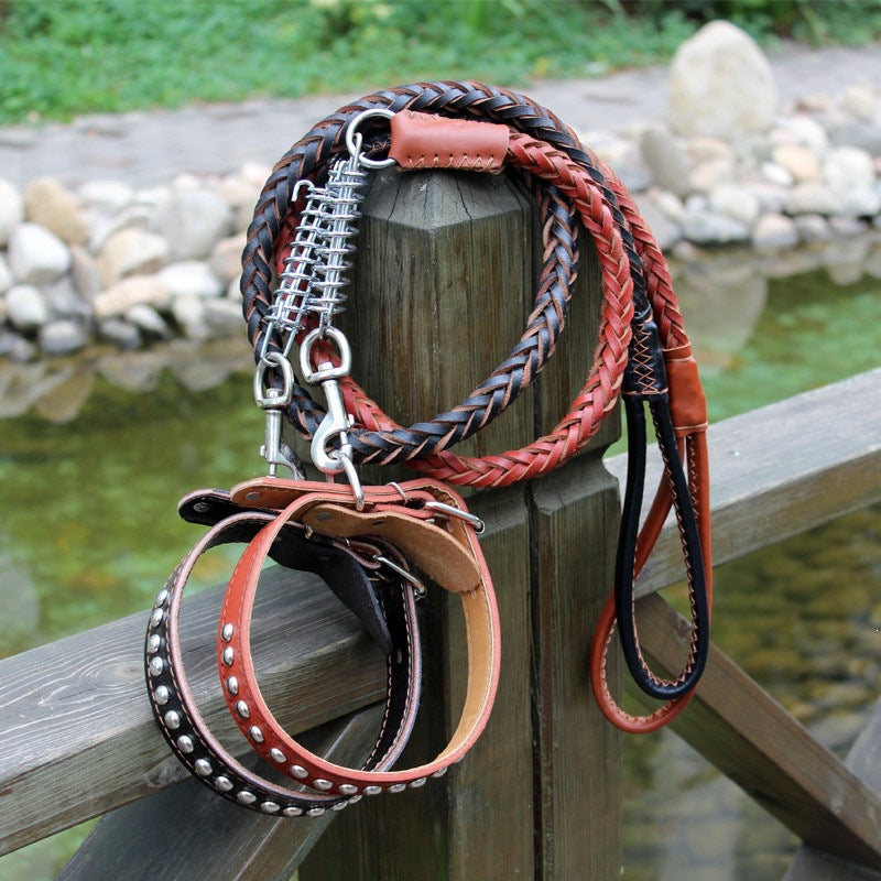 Collar y correa de cuero para perros medianos y grandes
