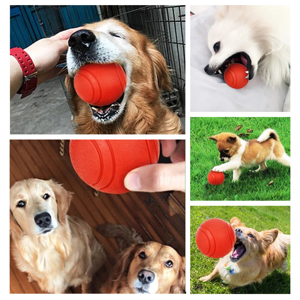 Pelota de goma con sonido para perros