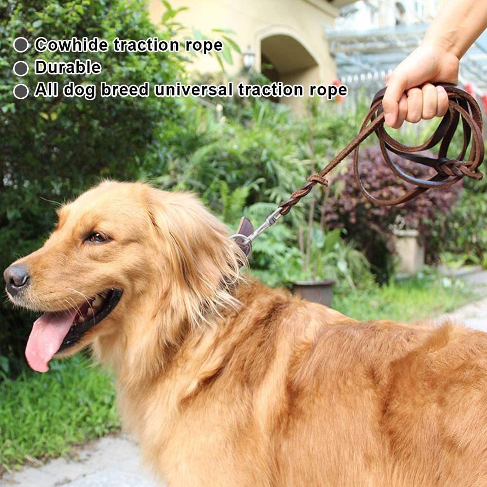 Correa de cuero para perros medianos y grandes