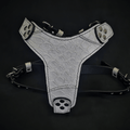 Arnés Bestia Dragon Scale de cuero para perros, talla M