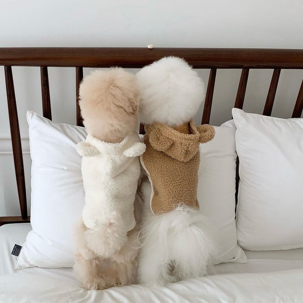 Capa cálida de invierno para perros y gatos
