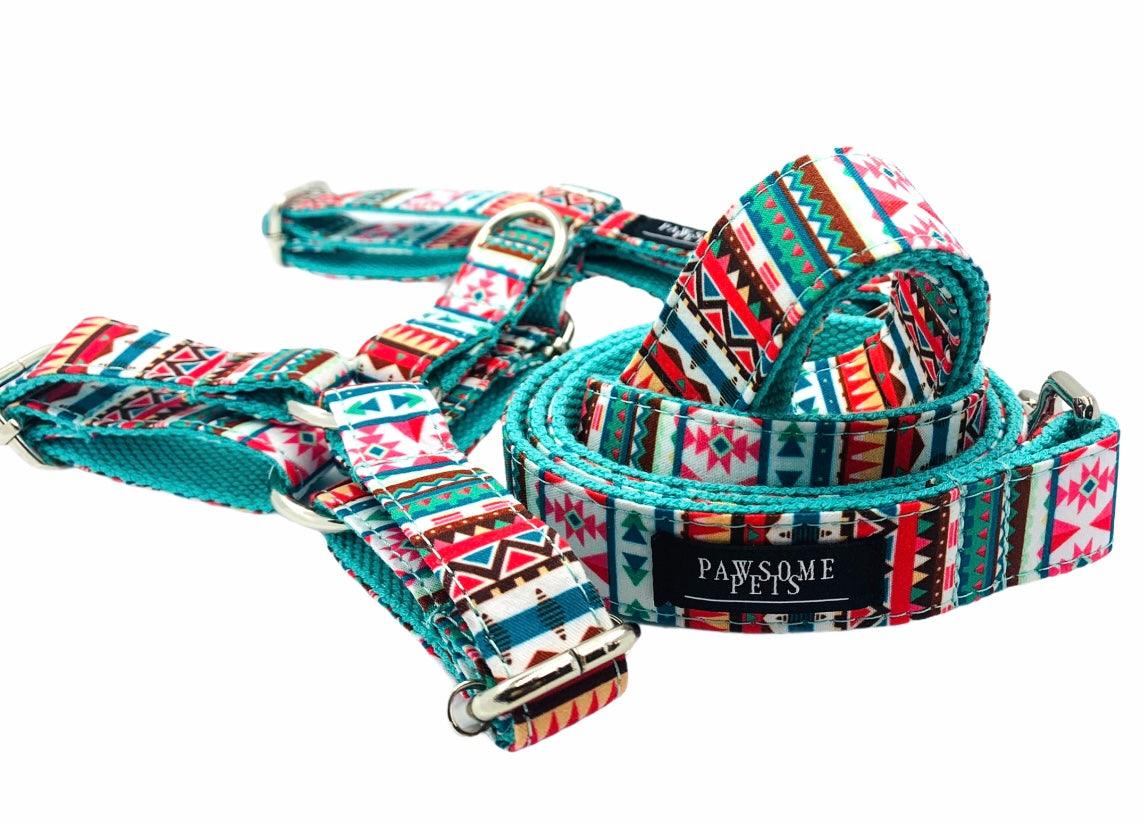 Pack de arnés y correa Pawsome Pets New York tropical