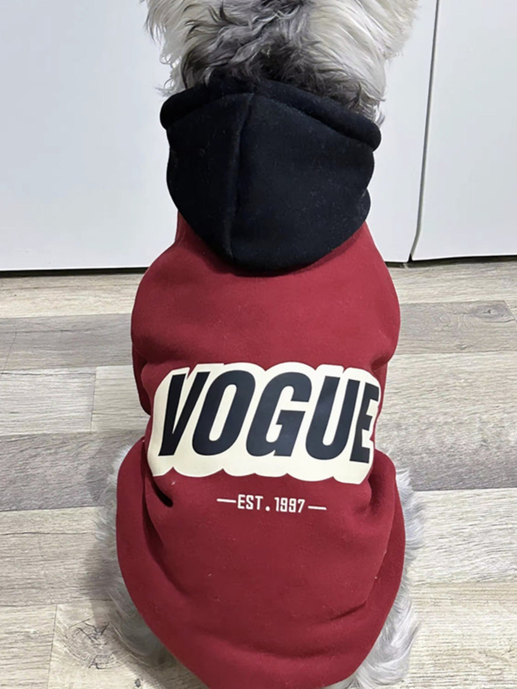 Sudadera con capucha para perros y gatos, foto 3 de 25