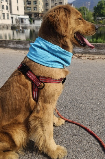 Bufanda refrescante para perros y gatos