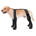 Botas impermeables antideslizantes para perros