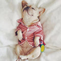 Pijama original para gatos y perros