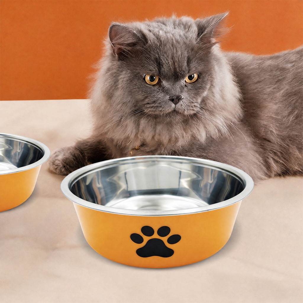 Cuenco doble de acero inoxidable para perros y gatos