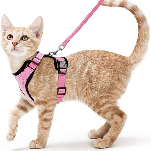 Arnés y correa ajustable antiescape para gatos en color rosa