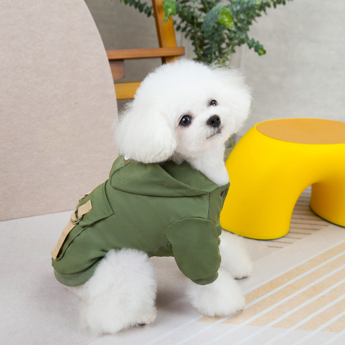 Jersey casual de poliéster para perros y gatos en color verde