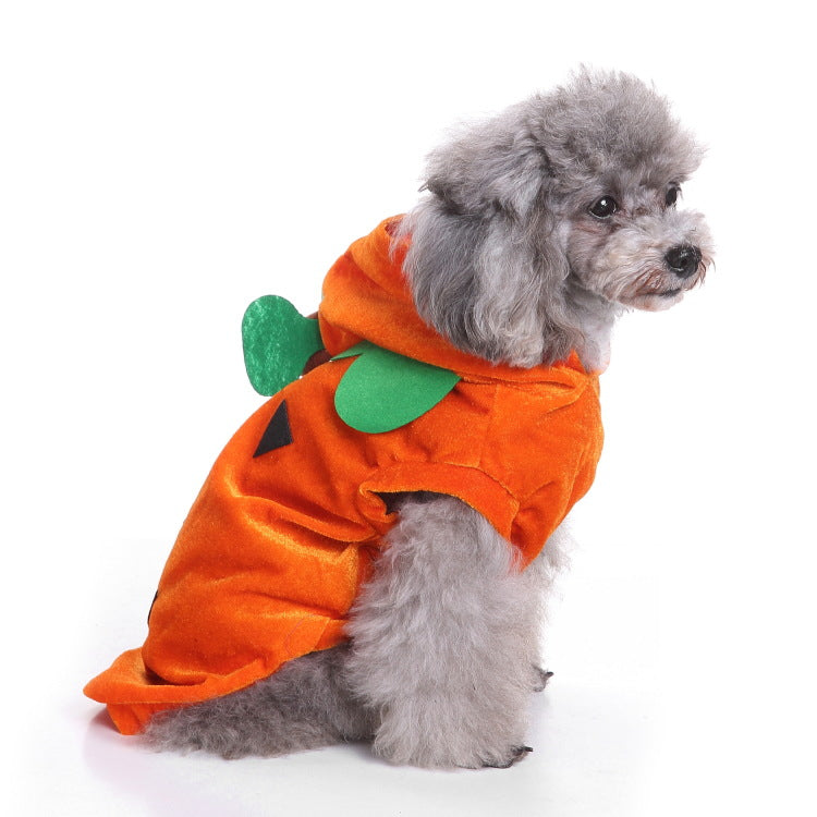 Disfraz de Halloween para perros y gatos, foto 5 de 11