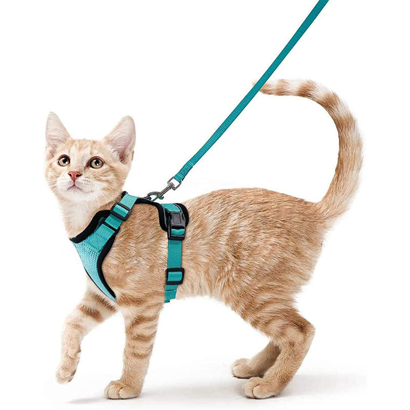 Arnés y correa ajustable antiescape para gatos – Azul lago