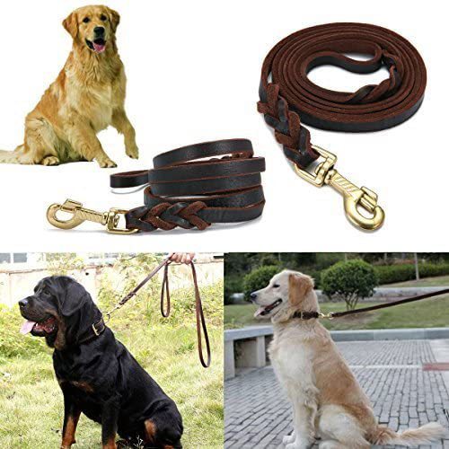 Correa de cuero para perros medianos y grandes