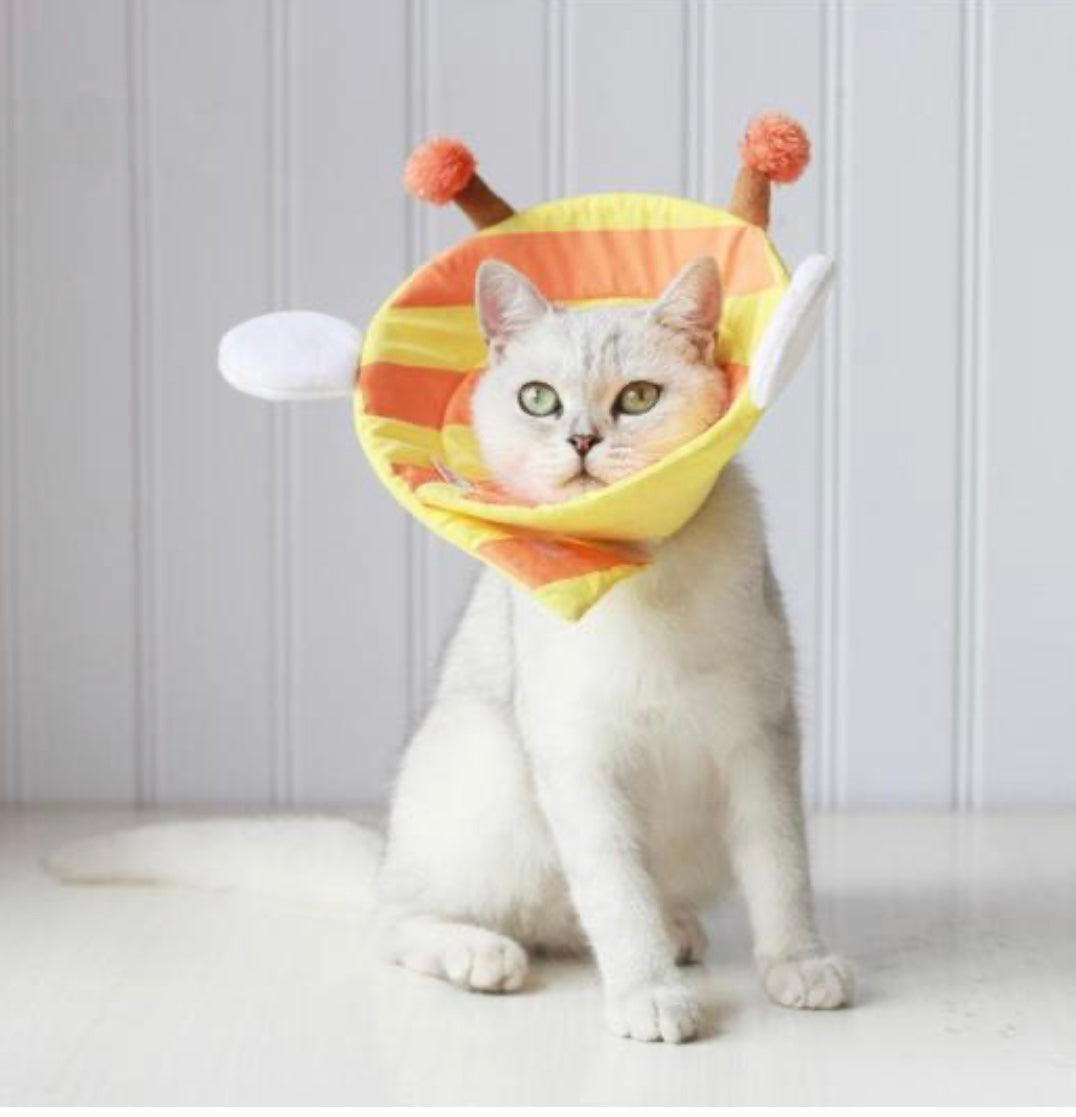 Cono de recuperación blando y cómodo para gatos, foto 4 de 5