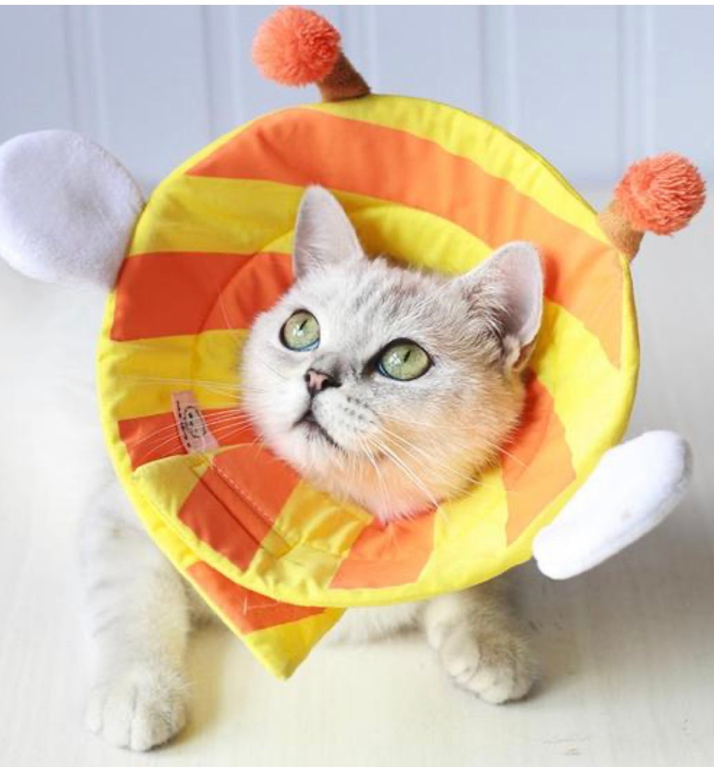 Cono de recuperación blando y cómodo para gatos