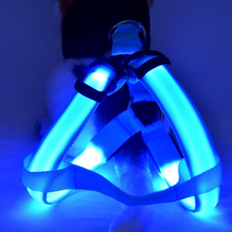 Arnés luminoso LED ajustable para perros y gatos