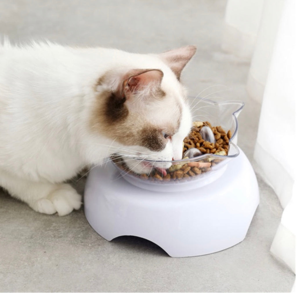 Cuenco elevado y comedero lento 2 en 1 para gatos