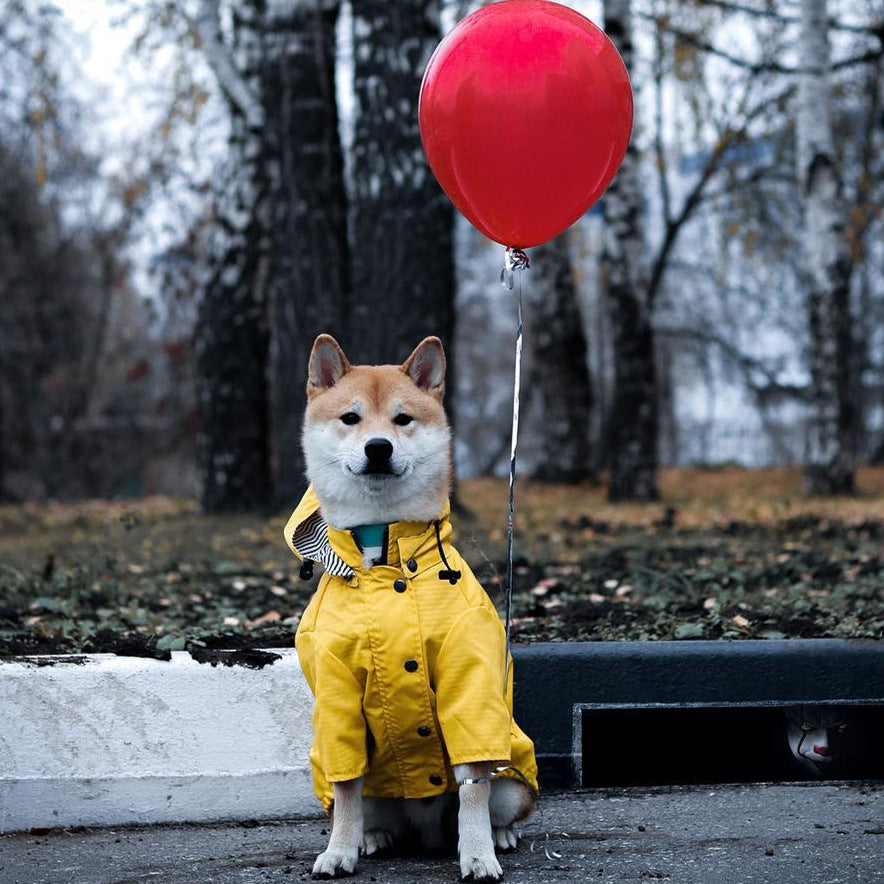 Chubasquero grueso de estilo británico retro para perros